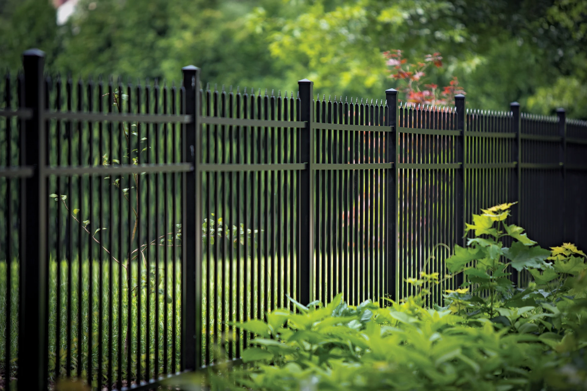 Front-Yard Ornamental · Liberty by RKC Wood Care Pros