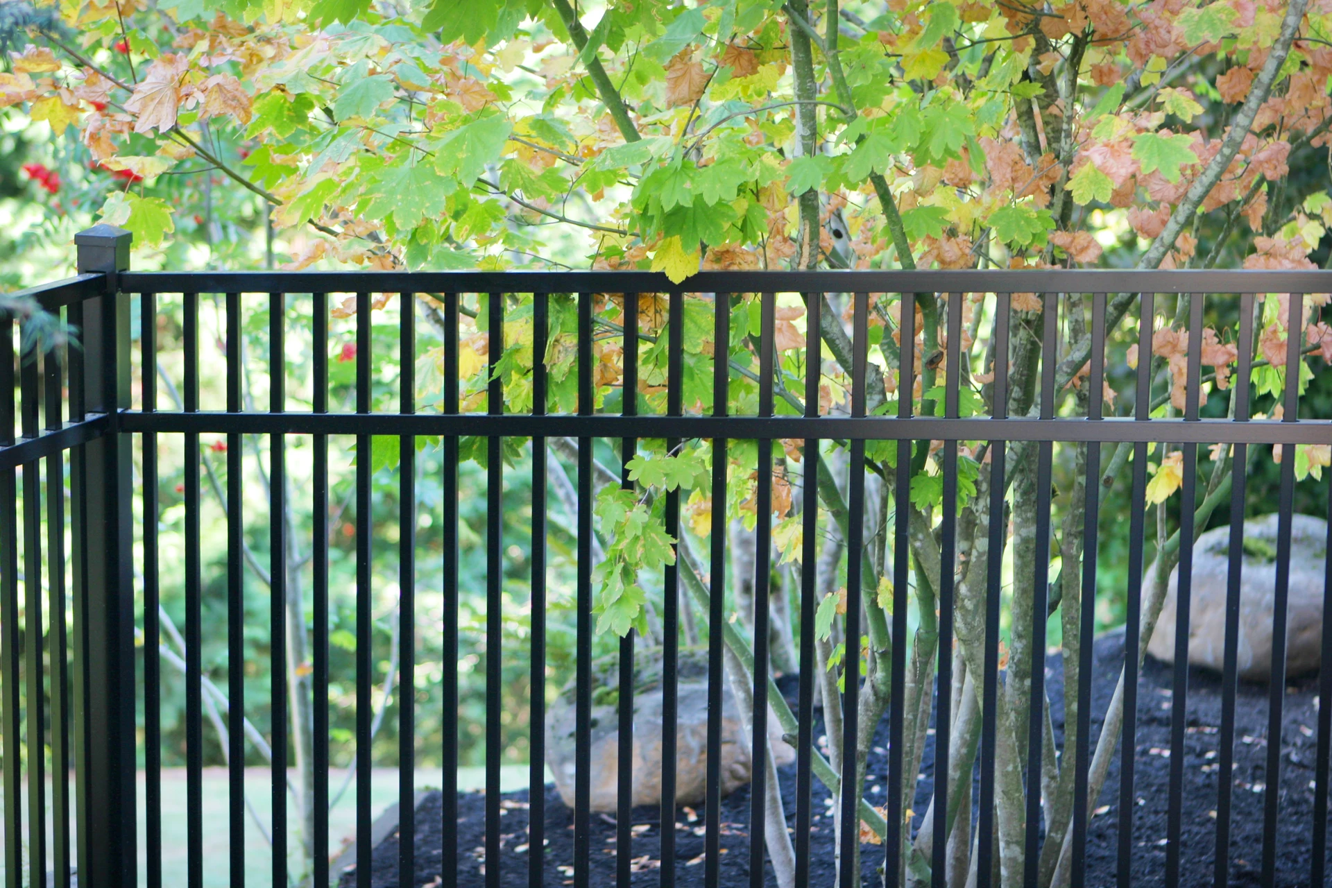 Ornamental Aluminum — 54" Pool by RKC Wood Care Pros in Gardner, KS