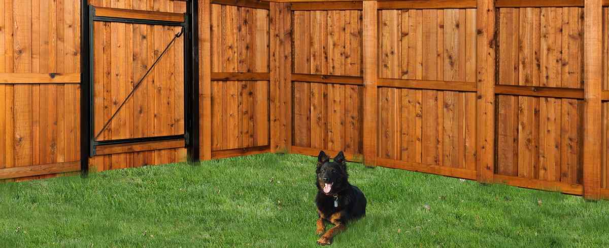 Richly stained cedar privacy fence with warm tone by RKC Wood Care Pros in the Kansas City metro