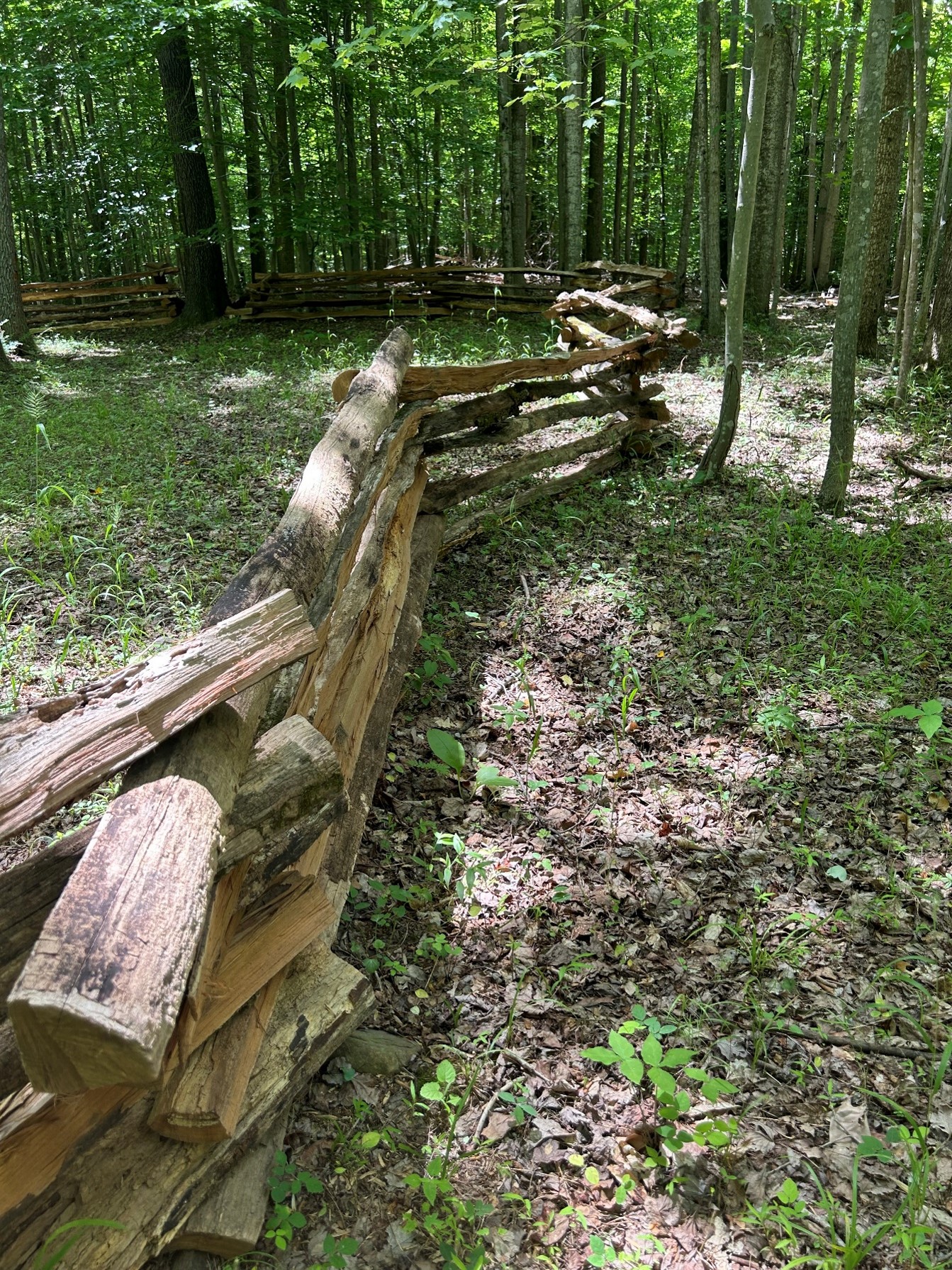 Cedar horizontal plank privacy fence — Independence, MO installation FAQ — RKC Wood Care Pros