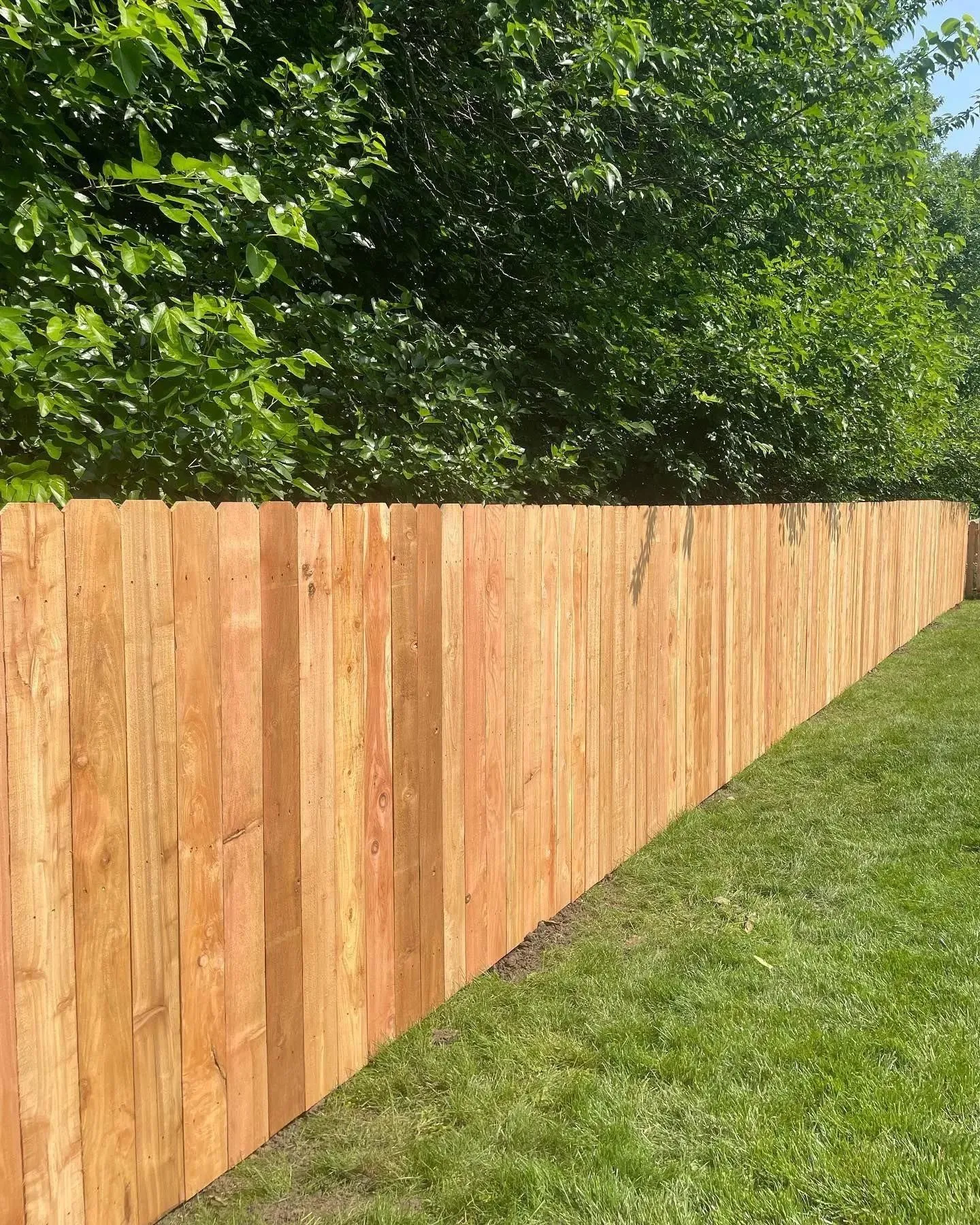 Vinyl privacy fence in Gardner, KS by RKC Wood Care Pros