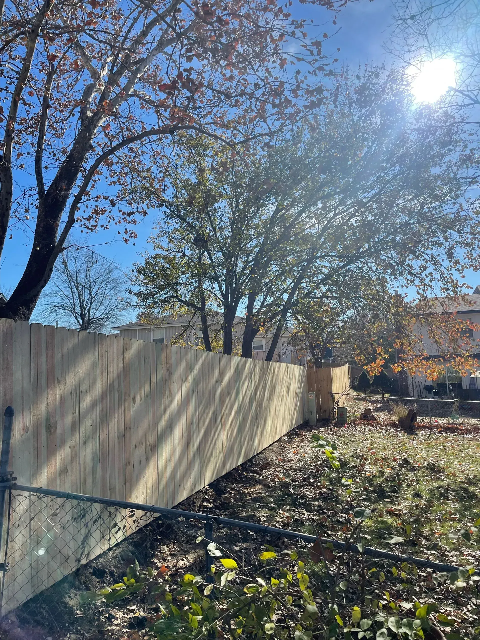 Cedar fence replacement around mature maples in Prairie Village by RKC Wood Care Pros