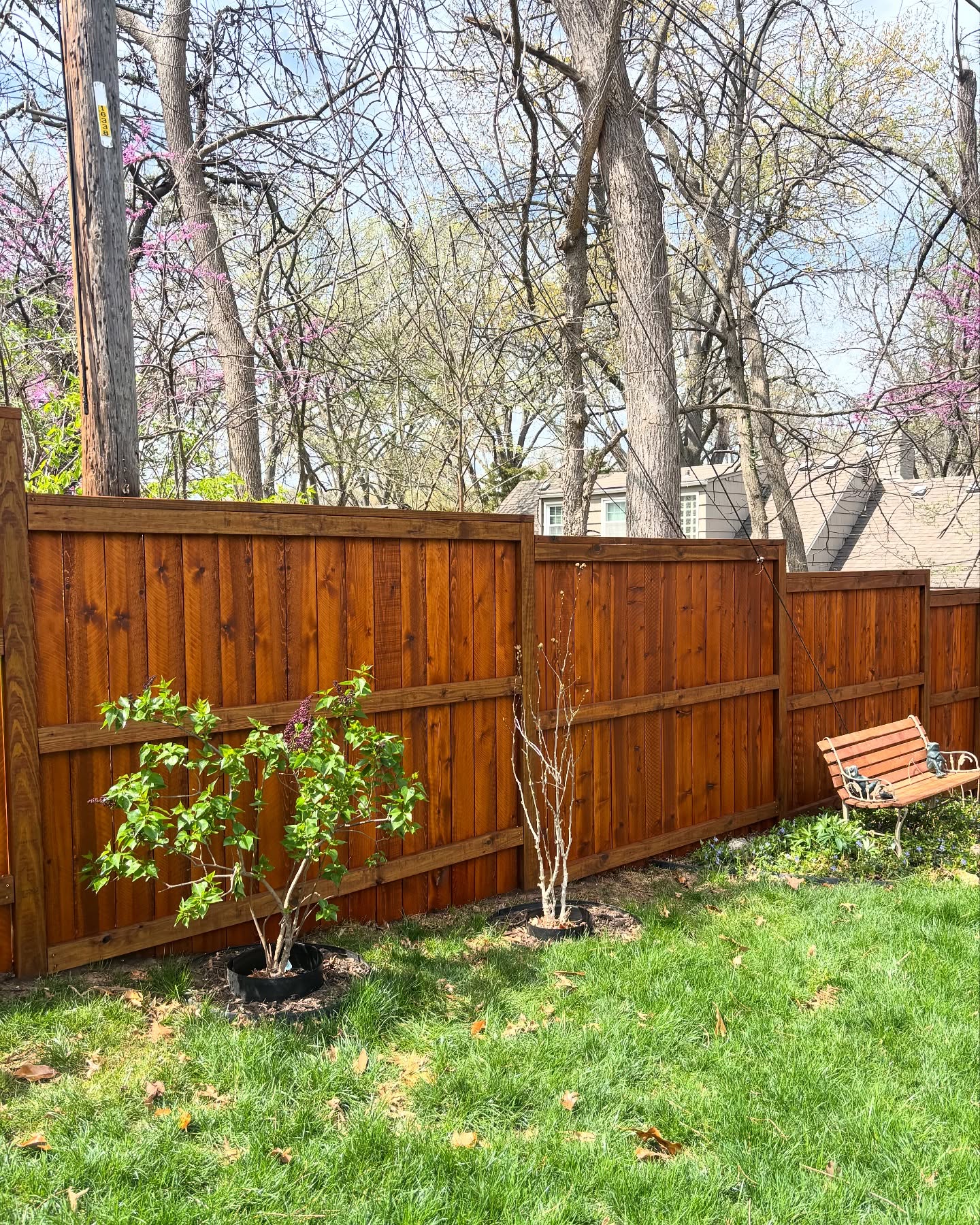 Pressure-treated pine stain in Spring Hill, KS