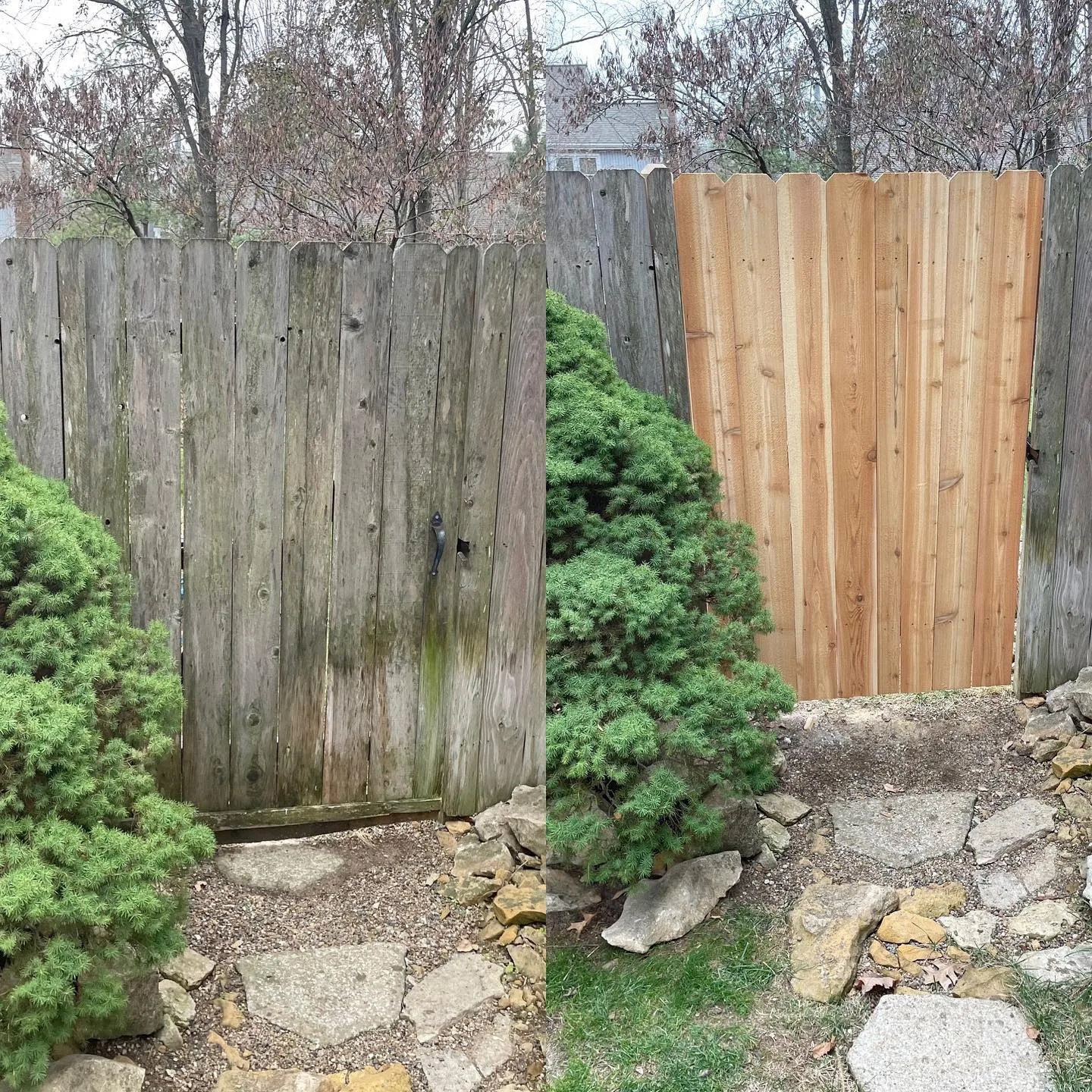 Before-and-after of fence gate repair in Independence, MO — left: rotted gray gate, right: new cedar gate installed