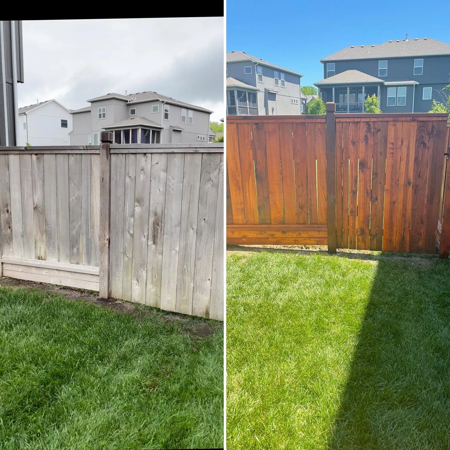 Dramatic before-and-after fence staining in Raymore, MO — left: weathered gray, right: vibrant amber cedar tone