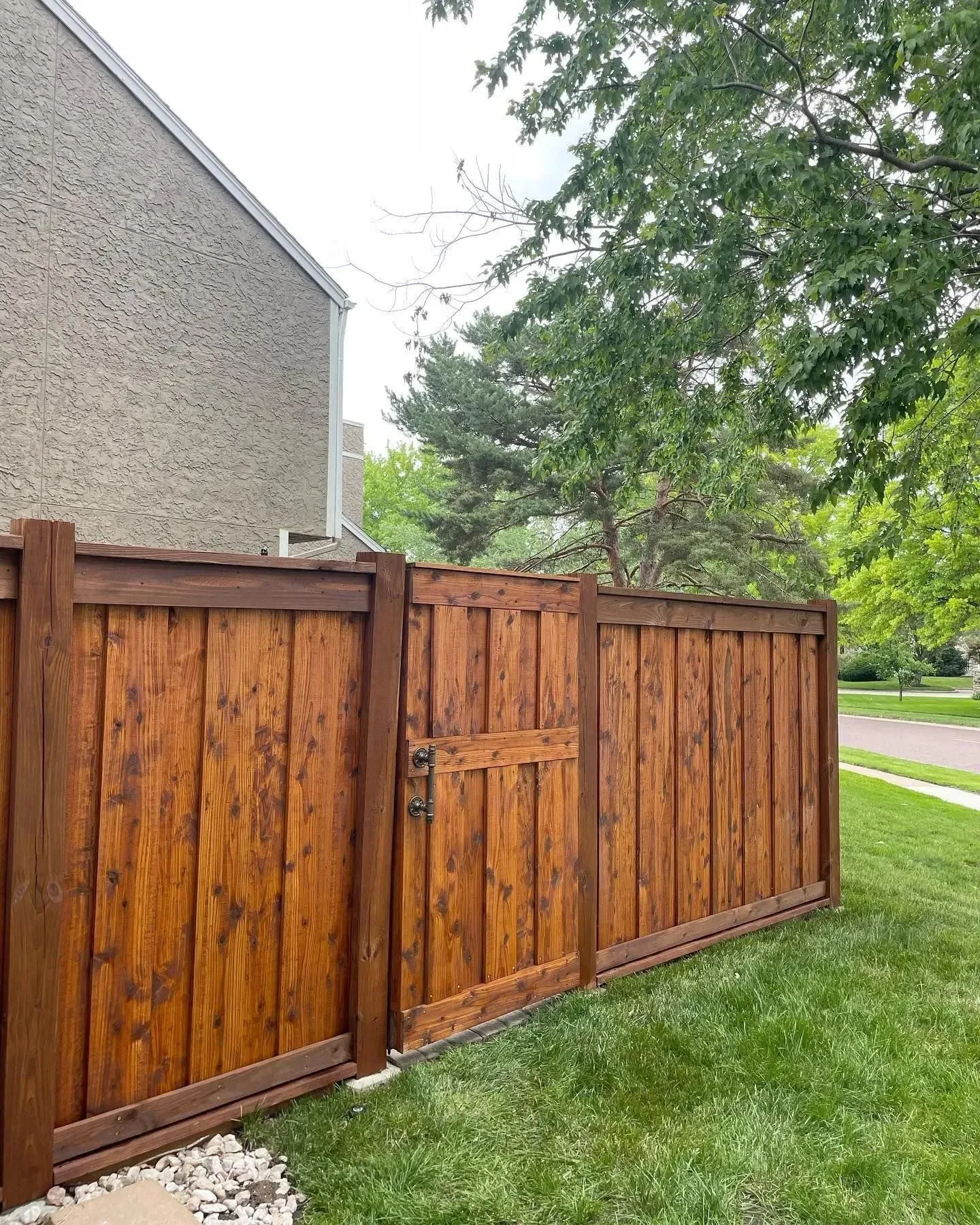 Richly stained cedar privacy fence with walk gate in Overland Park, KS — green trees, summer afternoon
